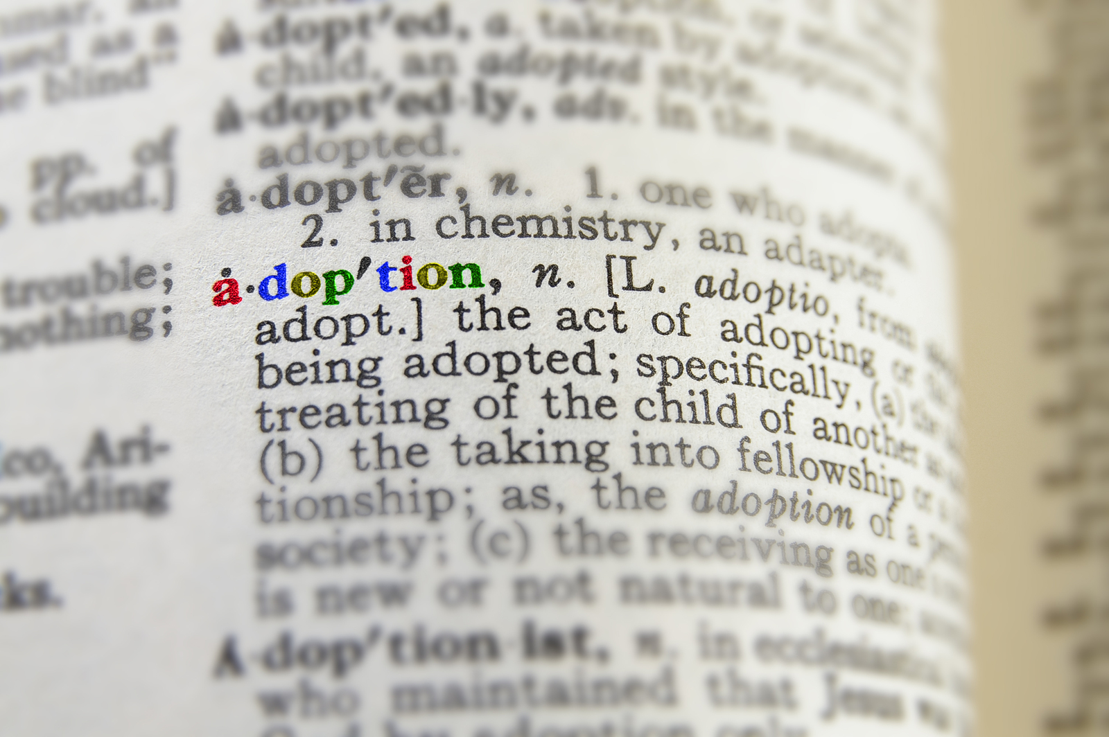 Nevada Adoption We Can Help You Through the Process