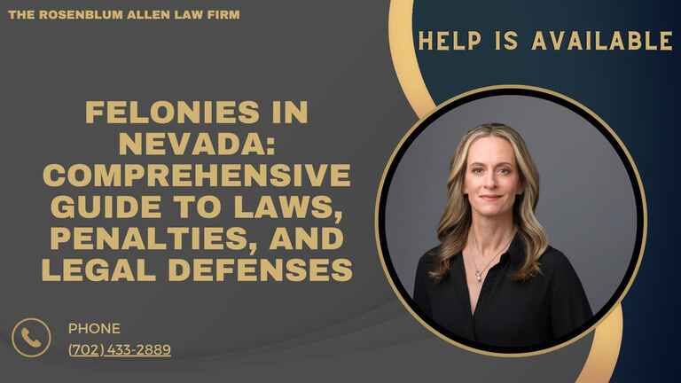 Felonies in Nevada Banner